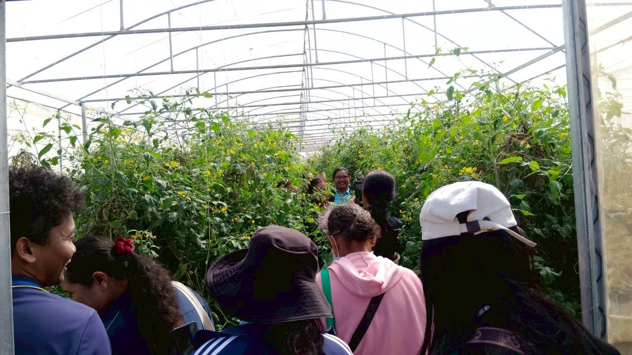 title - ส.ป.ก.บุรีรัมย์ ดำเนินการฝึกอบรมเชิงปฏิบัติการโครงการพัฒนาเกษตรกรปราดเปรื่องในเขตปฏิรูปที่ดิน (Smart Farmer) ปีงบประมาณ พ.ศ. 2569 ระหว่างวันที่ 25 - 27 ธันวาคม 2568